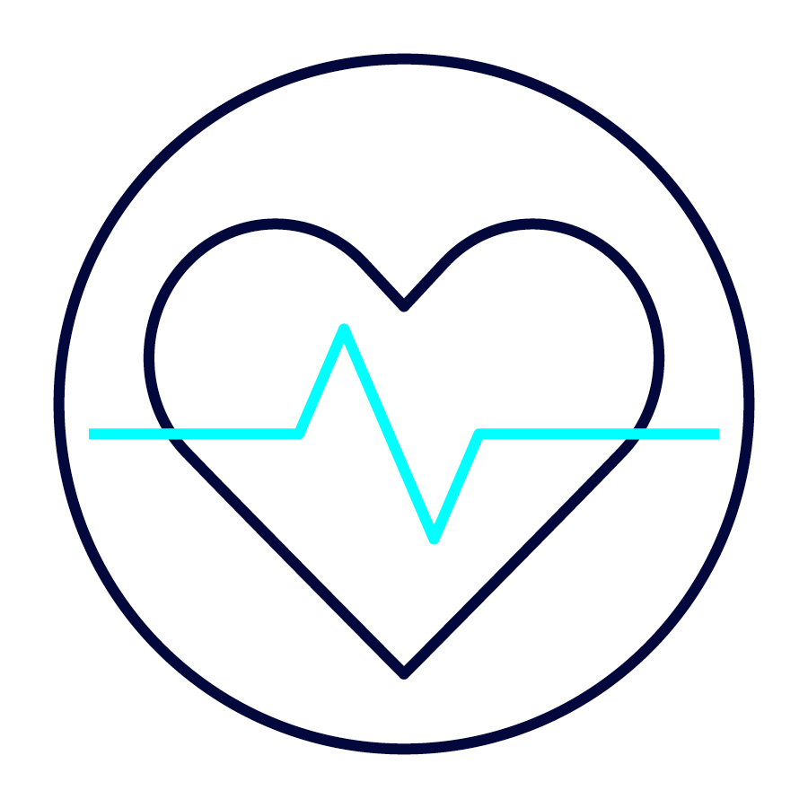 Capita Website HeaslthAssessment Icons